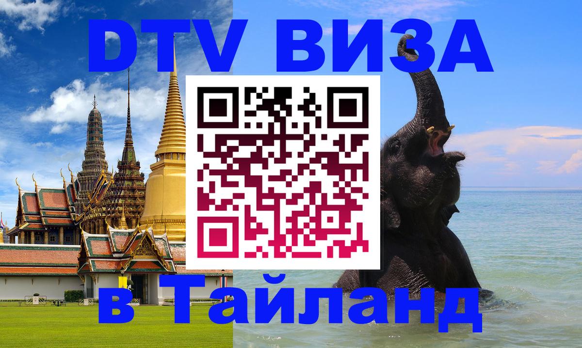 Оформление DTV визы под ключ: стоимость и тарифы, только загранпаспорт - Ереван 